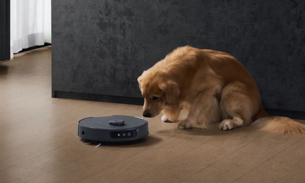 Dogs identifying sweeping robots